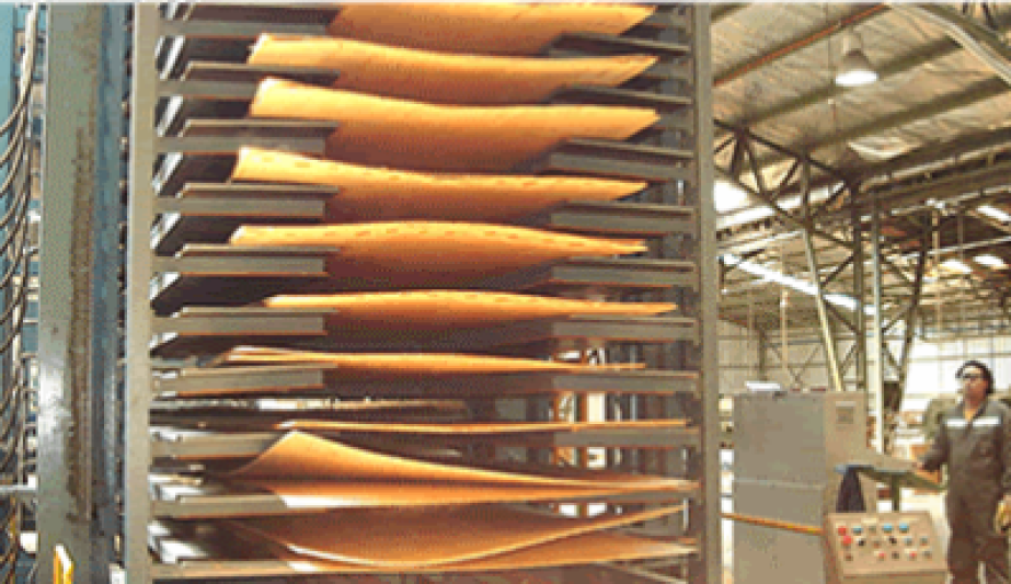 Chile_Plywood_Press