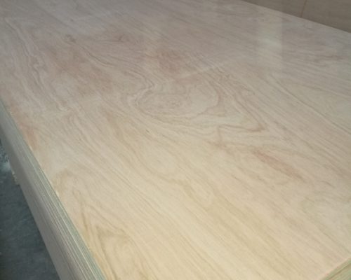 Pencil_Cedar_02