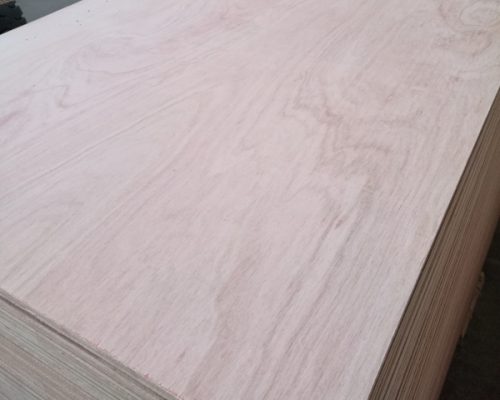 Pencil_Cedar_03