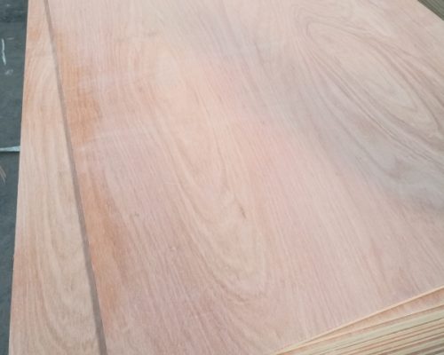 Pencil_Cedar_04
