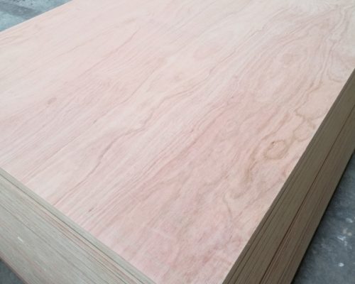 Pencil_Cedar_05