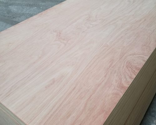 Pencil_Cedar_06