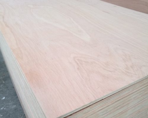 Pencil_Cedar_08