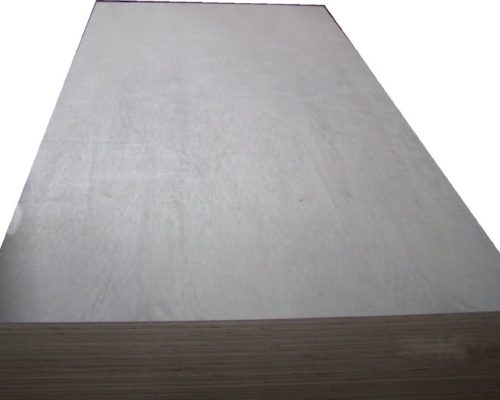 Poplar_01