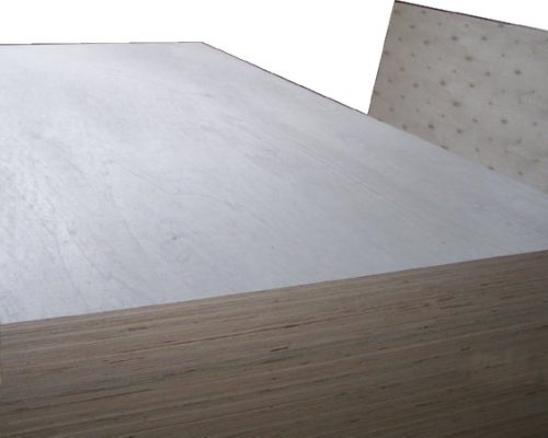 Poplar_03