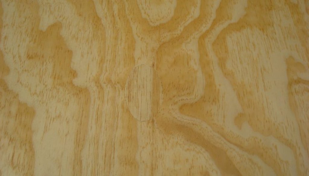 Sanded_BC_04
